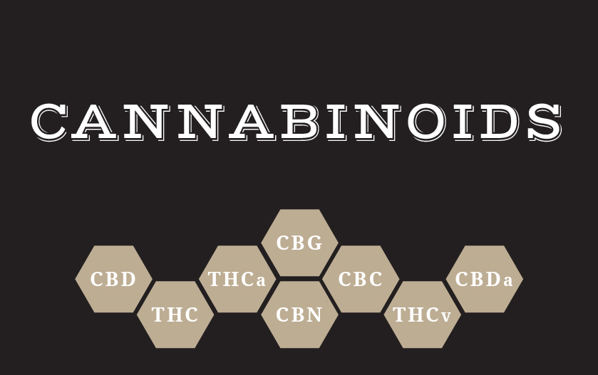 cannabinods cannabinods