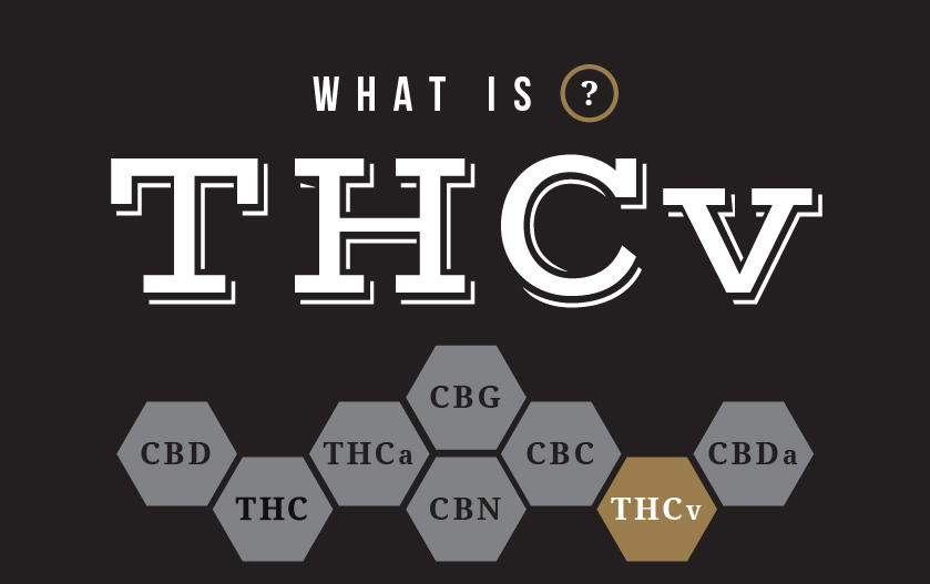 what is thcv what is thcv
