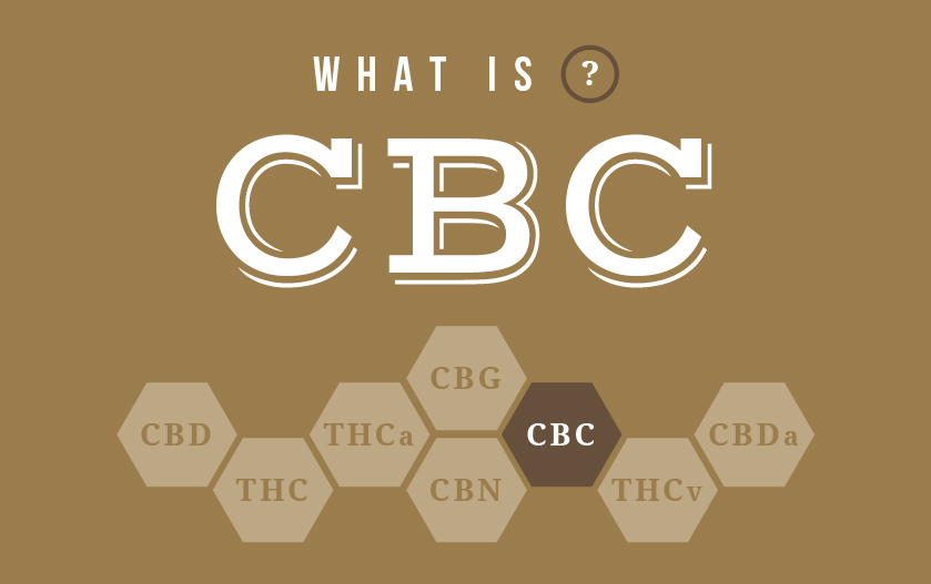 what is cbc what is cbc