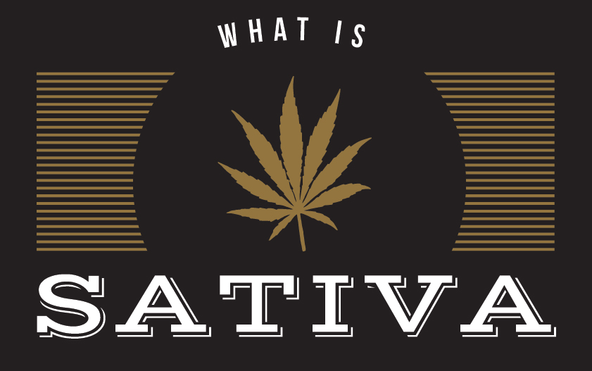 what is sativa what is sativa