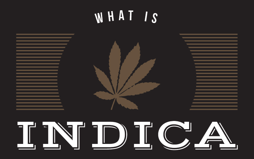 what is indica what is indica